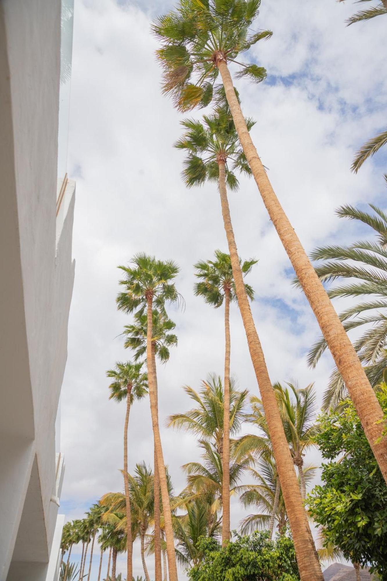 Palm Beach Fuerteventura Tarajalejo Buitenkant foto
