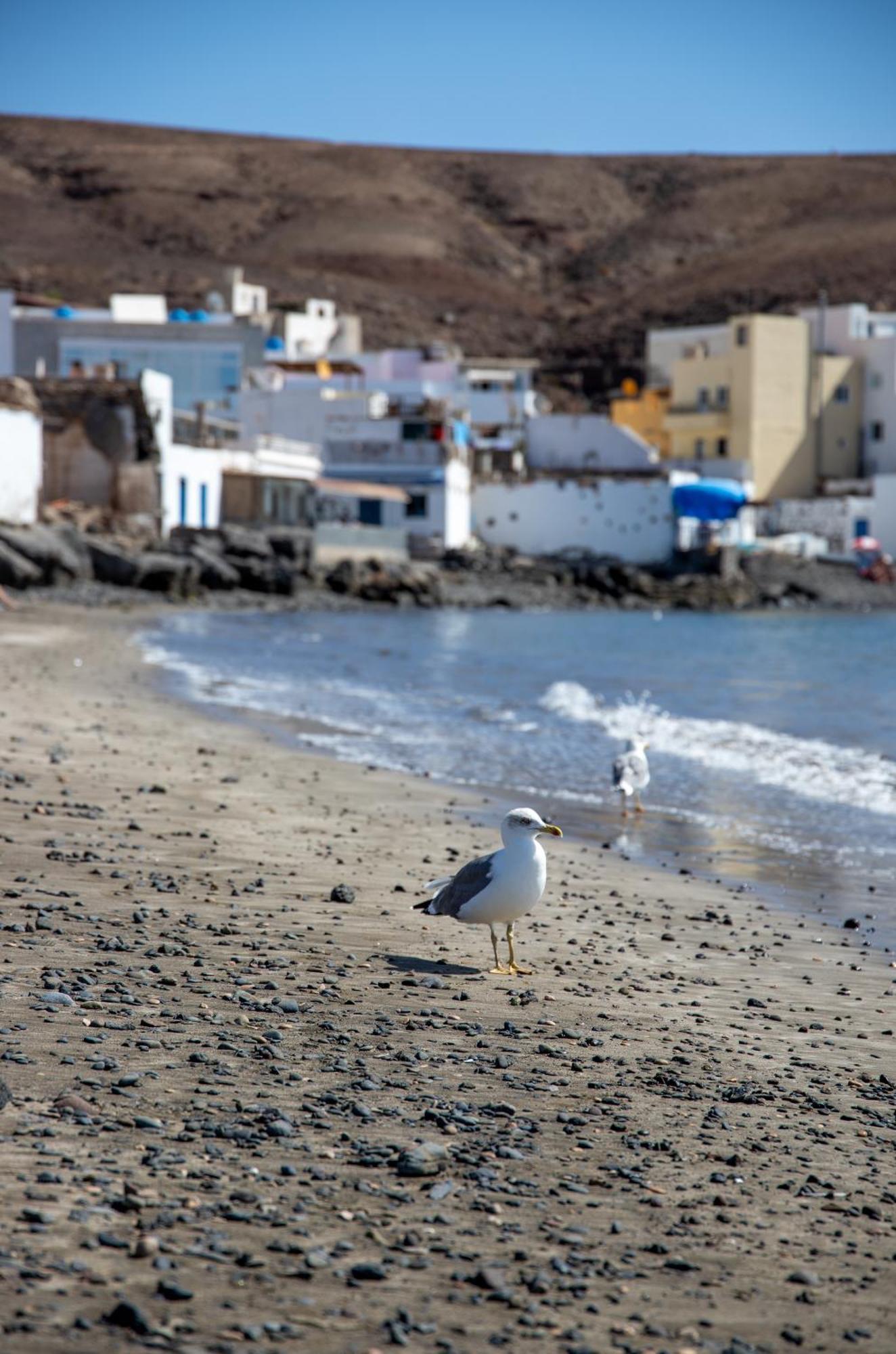 Palm Beach Fuerteventura Tarajalejo Buitenkant foto